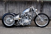 THUNDER HEAD CUSTOMS SPORTSTER