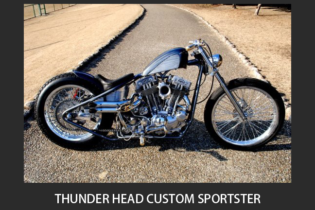 THUNDER HEAD CUSTOMS SPORTSTER