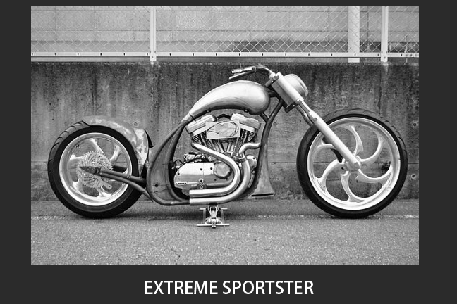 EXTREME SPORTSTER