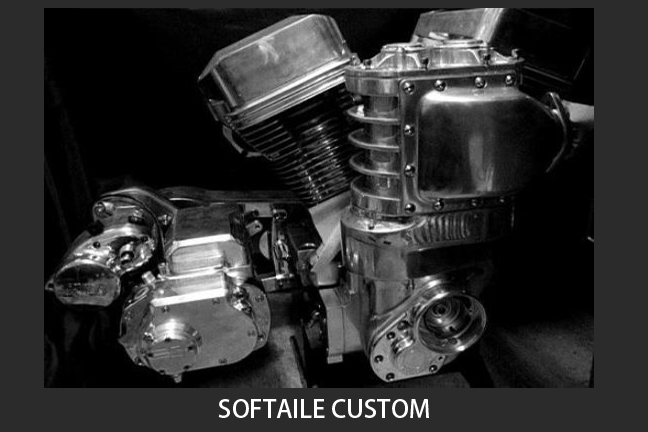 SOFTAILE CUSTOM